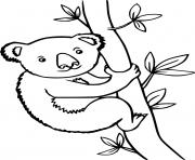 Funny Koala Climbing the Tree