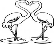 Flamingo Couple in the Water