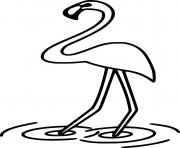 Simple Flamingo Standing in the Water