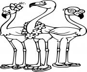Three Cartoon Flamingos