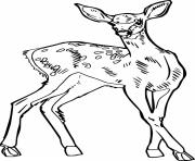 Realistic Spotted Deer