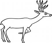 simple white tailed deer