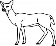 Printable Very Easy Deer coloring pages