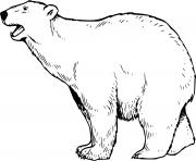 Realistic Roaring Polar Bear