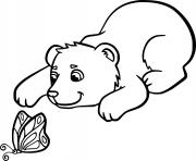 Bear Cub and a Butterfly