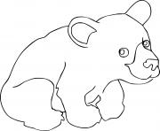 Baby Brown Bear