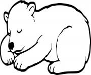 Hibernate Baby Bear