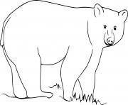 Printable Easy Black Bear on the Grass coloring pages