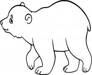Young Polar Bear Walking