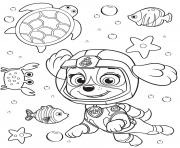 paw patrol skye in the sea with sea animals