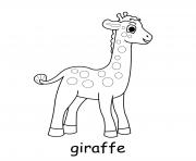 giraffe cute animal