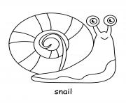 snail cute animal