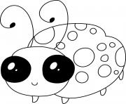 Ladybug cute animal