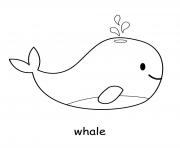 cute whale