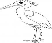 Heron bird