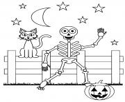 funny skeleton cat pumpkin
