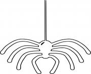 Spider from the Up Outline