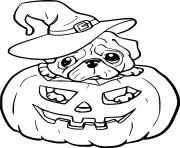 Puppy Witch in the Jack O Lantern