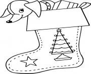 Puppy in Stocking with Star Pattern