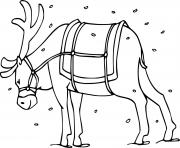Printable Reindeer in the Snow coloring pages