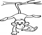 Monkey Holds a Banana Swinging