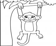 Monkey Hanging on the Tree