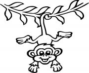 Happy Monkey Hanging on the Tree