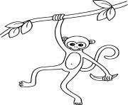 Monkey Holds the Vine