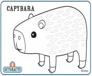 capybara octonautes creature